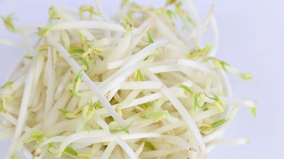 豆芽.webp.jpg