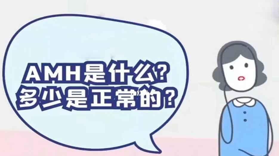 amh正常值.jpg
