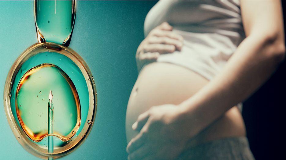 2023借卵做试管婴儿合法吗-附借卵试管婴儿最新条件.jpg