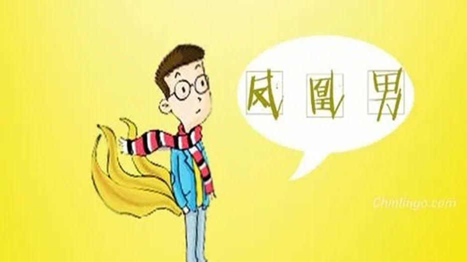 凤凰男.webp.jpg