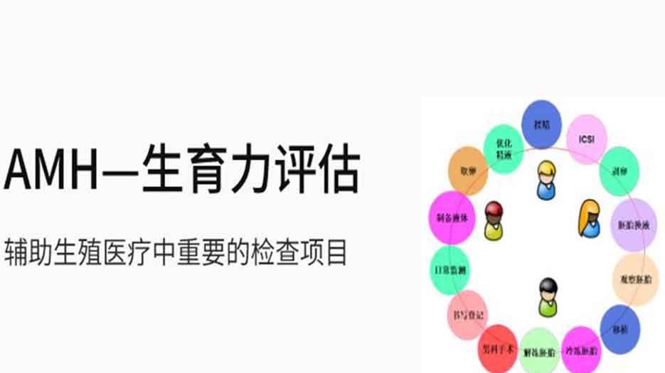 amh与辅助生殖.jpg