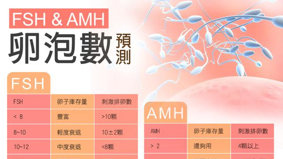 fsh和amh.png