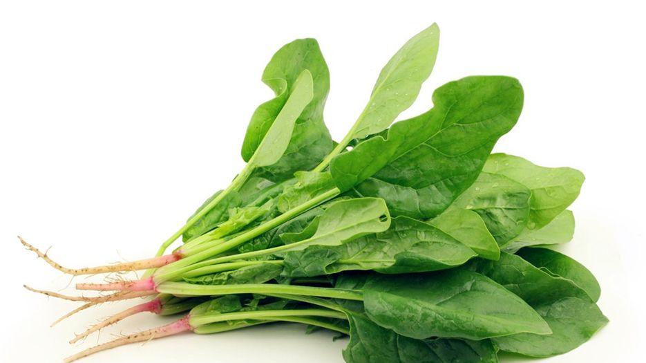 吃菠菜有什么禁忌吗？吃完菠菜千万别碰5种食物！.jpg