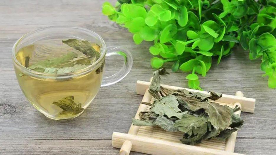 荷叶茶.webp.jpg