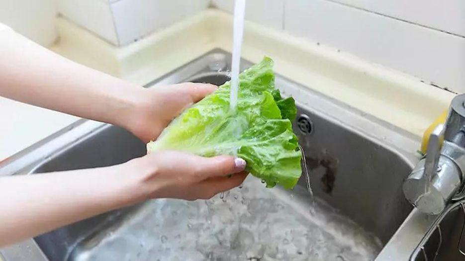 洗菜.jpg