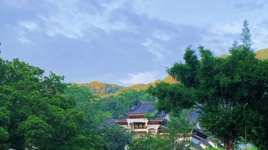 淡浮院.webp.jpg