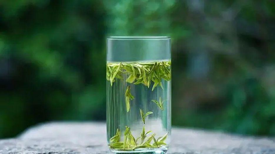 绿茶.webp.jpg