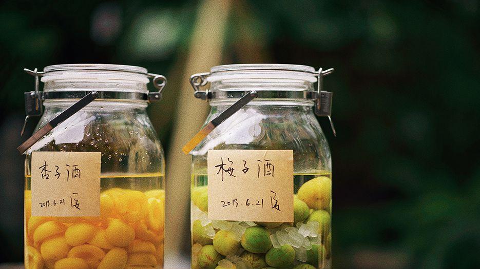 梅子酒.jpg