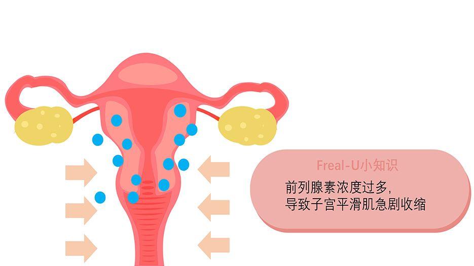 前列腺素.jpg