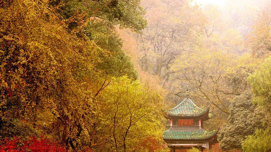 岳麓山.webp.jpg