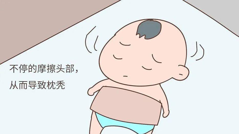 枕秃.webp.jpg