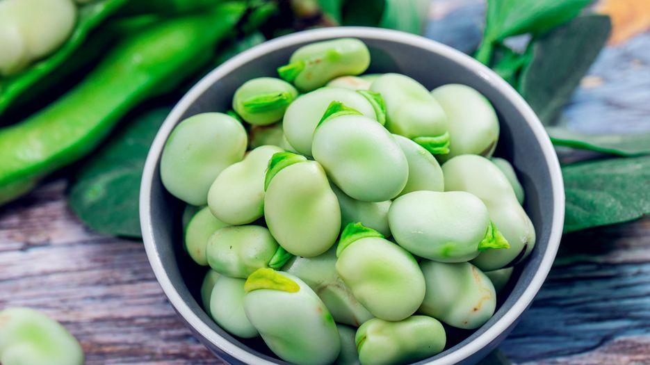 蚕豆有哪些功效？2023蚕豆的功效与作用分享.jpg