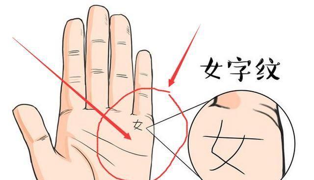 手纹.jpg