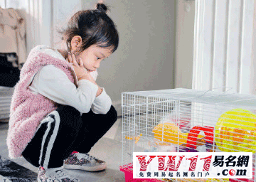 起名大全女宝宝