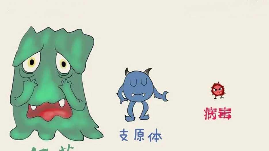 支原体.webp.jpg