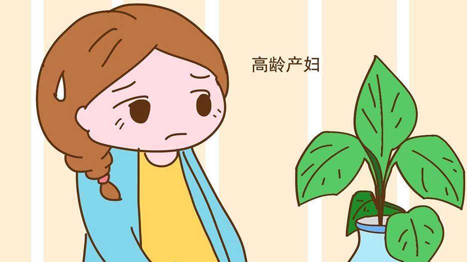 高龄孕妈.jpg