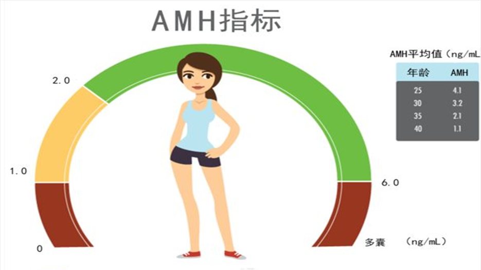 amh指标.png