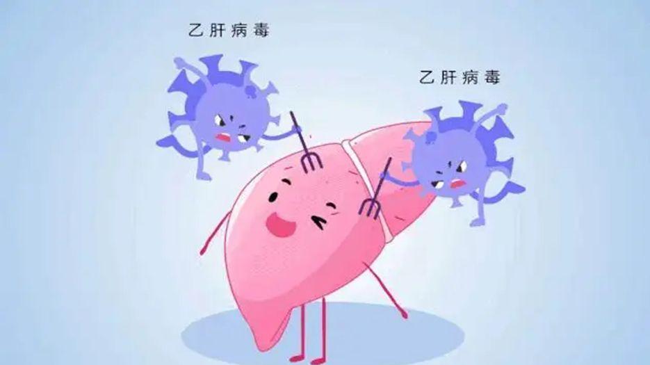 乙肝病毒.jpg