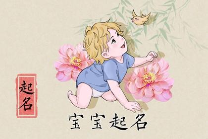 2023年兔宝宝张姓男孩名字 2023兔最旺张姓男孩名字