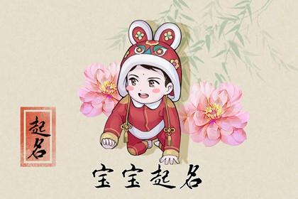 今年男兔宝宝取名字大全 属兔的男孩子名字