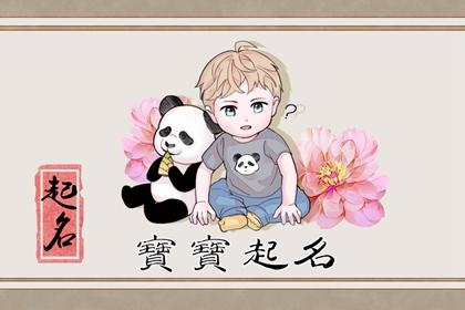 双胞胎虎宝宝男孩姓名 帅气明朗的宝宝名字
