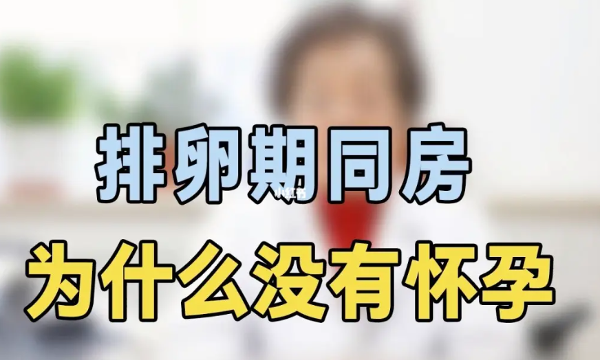 微信截图_20230610223425.png