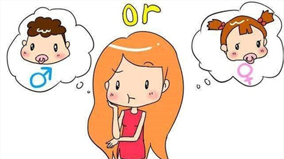 试管婴儿关于生男生女的科学分析