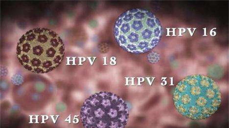 HPV (9).jpeg