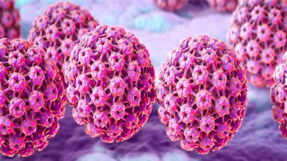 HPV (2).jpeg