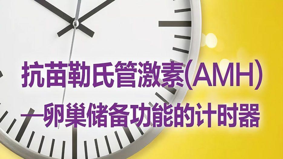 AMH值