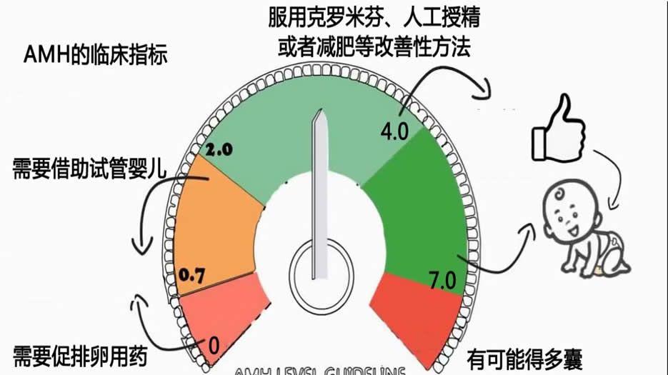 不同的AMH数值可采取不同的生育方式