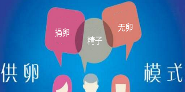 解读试管婴儿试管婴儿详细流程
