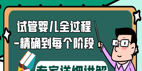 专家详细讲解试管婴儿全过程-精确到每个阶段