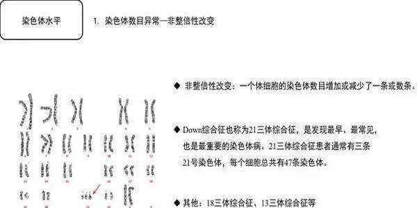 胎儿染色体非整倍体能做试管三代吗-病症分析