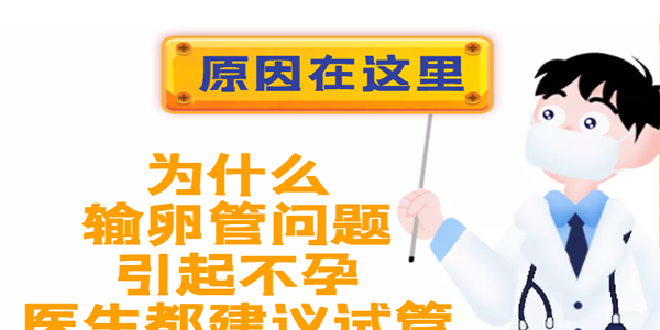 为什么输卵管问题引起不孕医生都建议试管-原因在这里