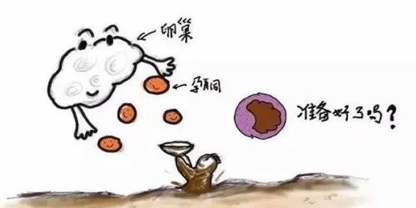 子宫内膜16mm厚吗，可否进行试管婴儿移植