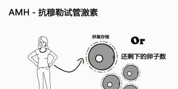 [专项科普]AMH值大于7还能做试管婴儿吗？成功率有多少