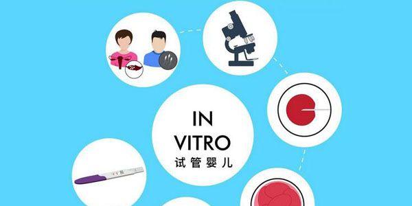 专家答疑试管移植和人工授精有什么不同、哪种成功率高