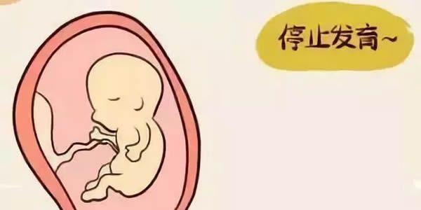 做试管婴儿还会发生胚胎停育吗