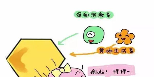FSH值高可以做试管婴儿吗