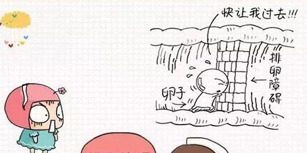 女性排卵障碍怀不上孩子适合做试管婴儿吗