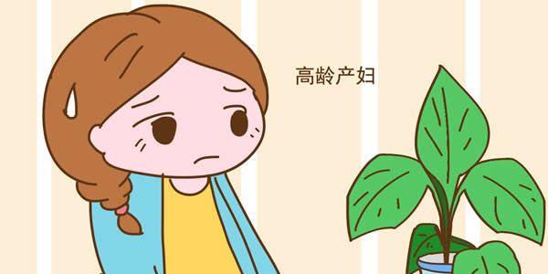 高龄女性做试管婴儿成功的机率有多大-需要看情况讨论