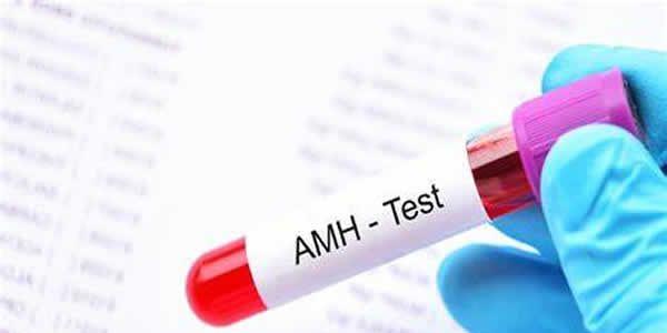 [专项科普]AMH值1.9还能做试管婴儿吗？成功率有多少？