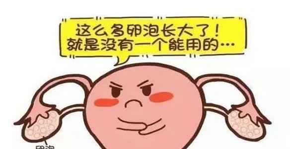 试管婴儿多囊卵巢会用什么促排方案-可以在两种之间选择