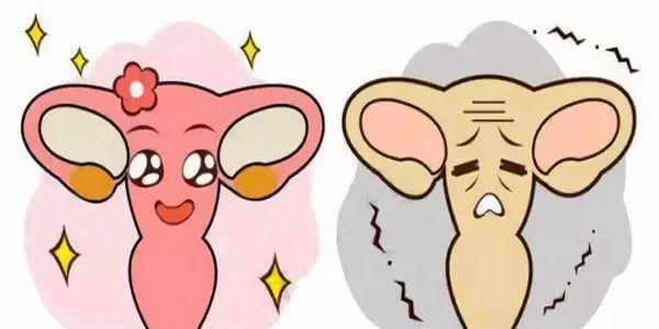 37岁卵巢功能衰退怎么调理？只需要做好这四点