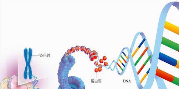 染色体异常做第三代试管婴儿需多少钱