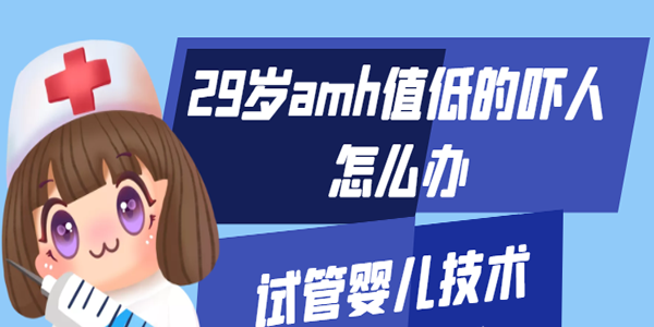 29岁amh值低的吓人怎么办-试管婴儿技术助力圆梦