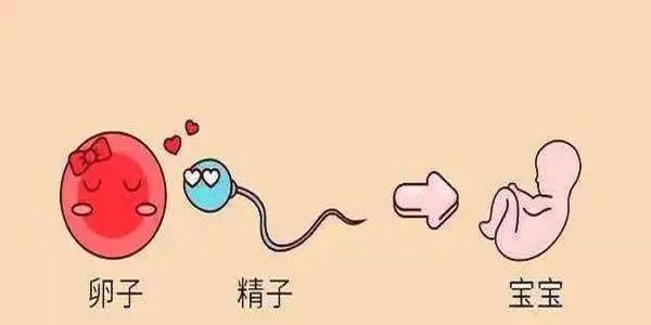 AMH值0.09还能做试管婴儿吗，成功率有多少