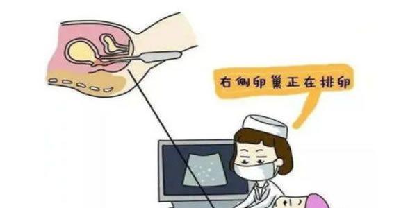 科学促排