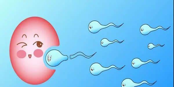 AMH值0.05还能做试管婴儿吗，成功率有多少